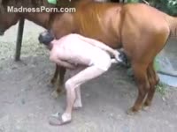 Skinny fuck-hungry stud is having intercourse with his friend&#039;s horse